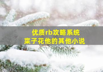 优质rb攻略系统 寀子花他的其他小说